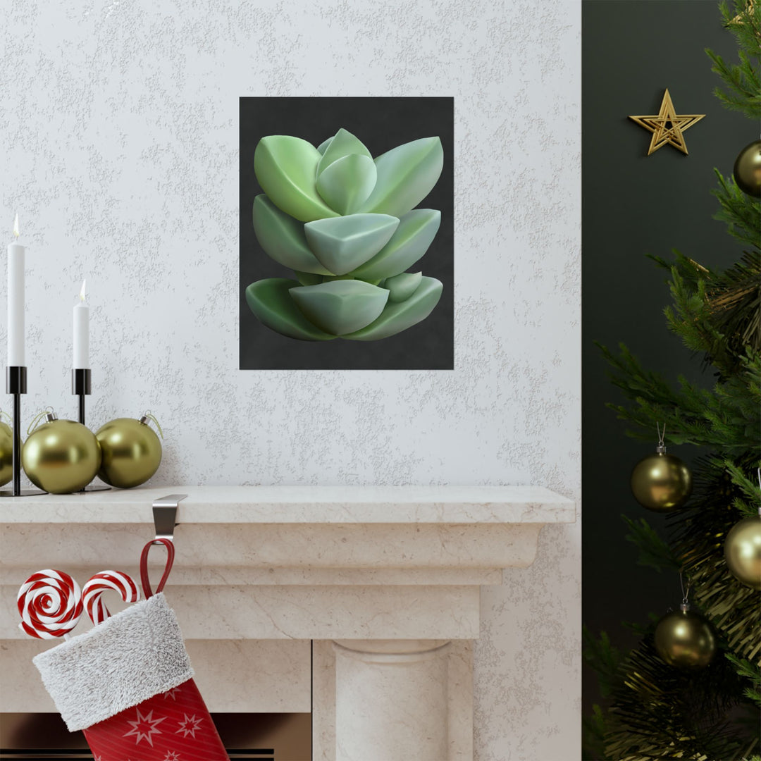 Crassula Botanical Print – Unframed Wall Art