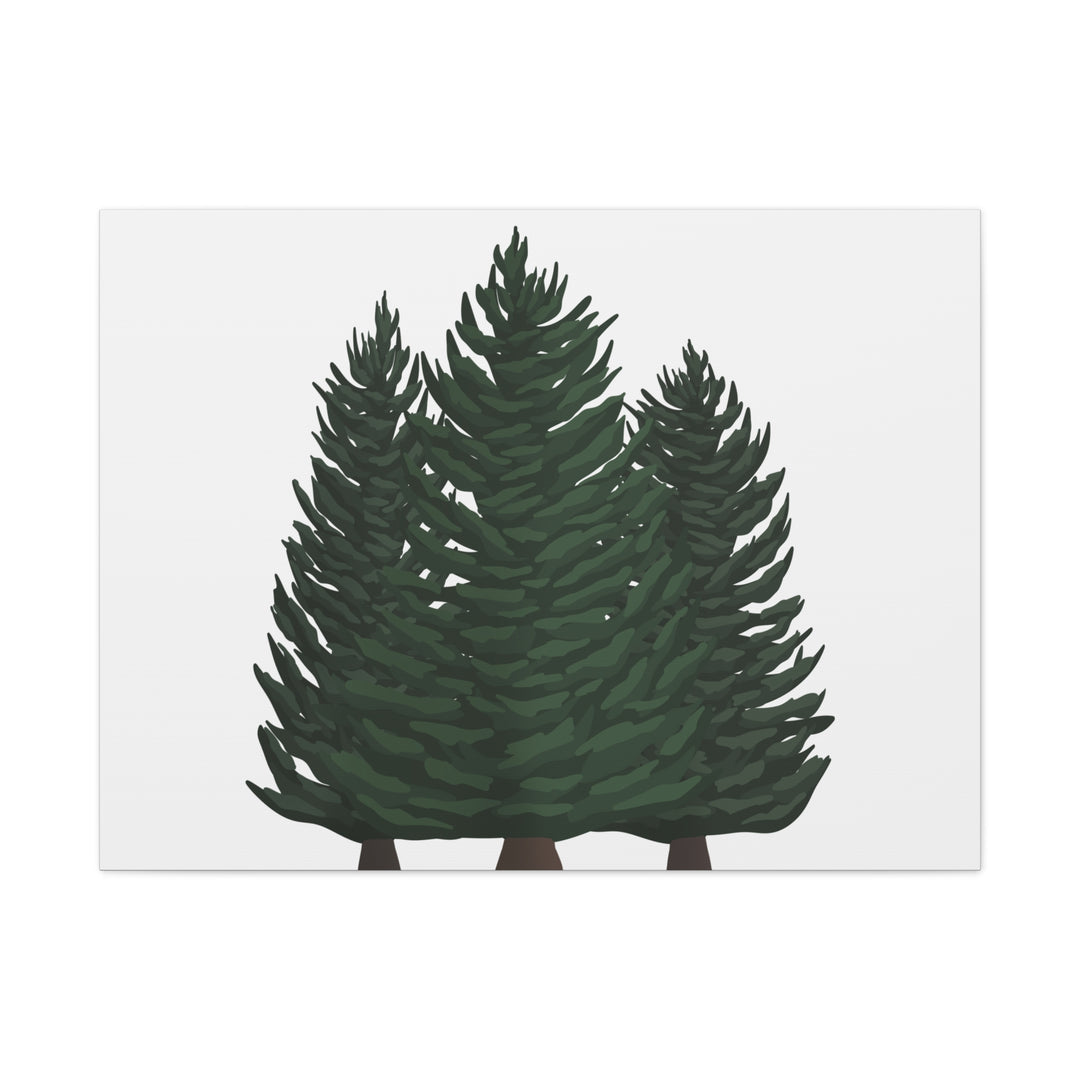 Douglas Fir Canvas Print – Wall Art