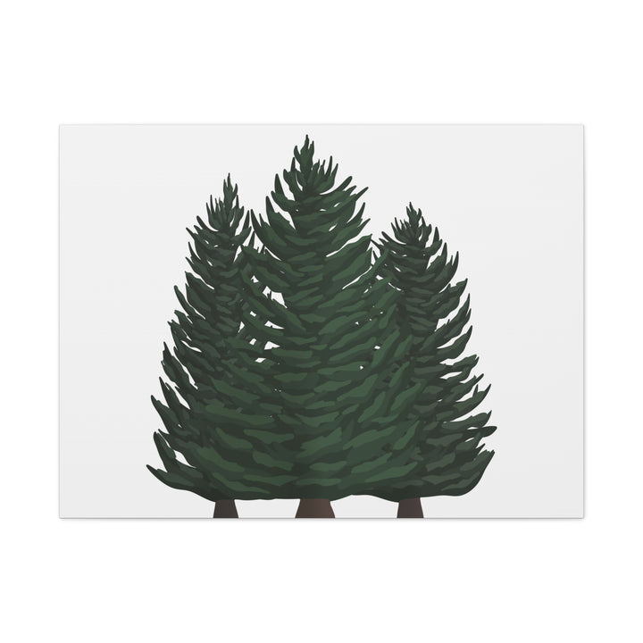 Douglas Fir Canvas Print – Wall Art