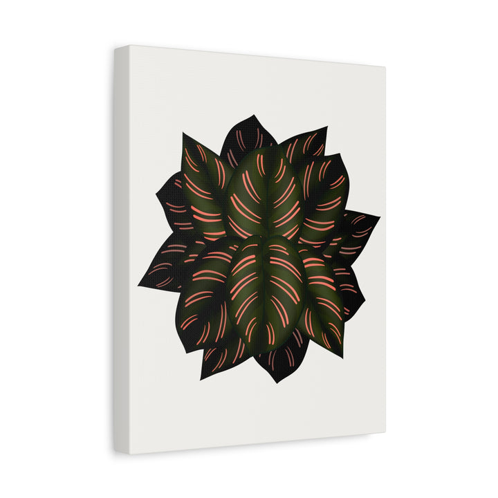Calathea Pinstripe Canvas Botanical Wall Art Print On Stretched Cotton Canvas For Living Room Decor