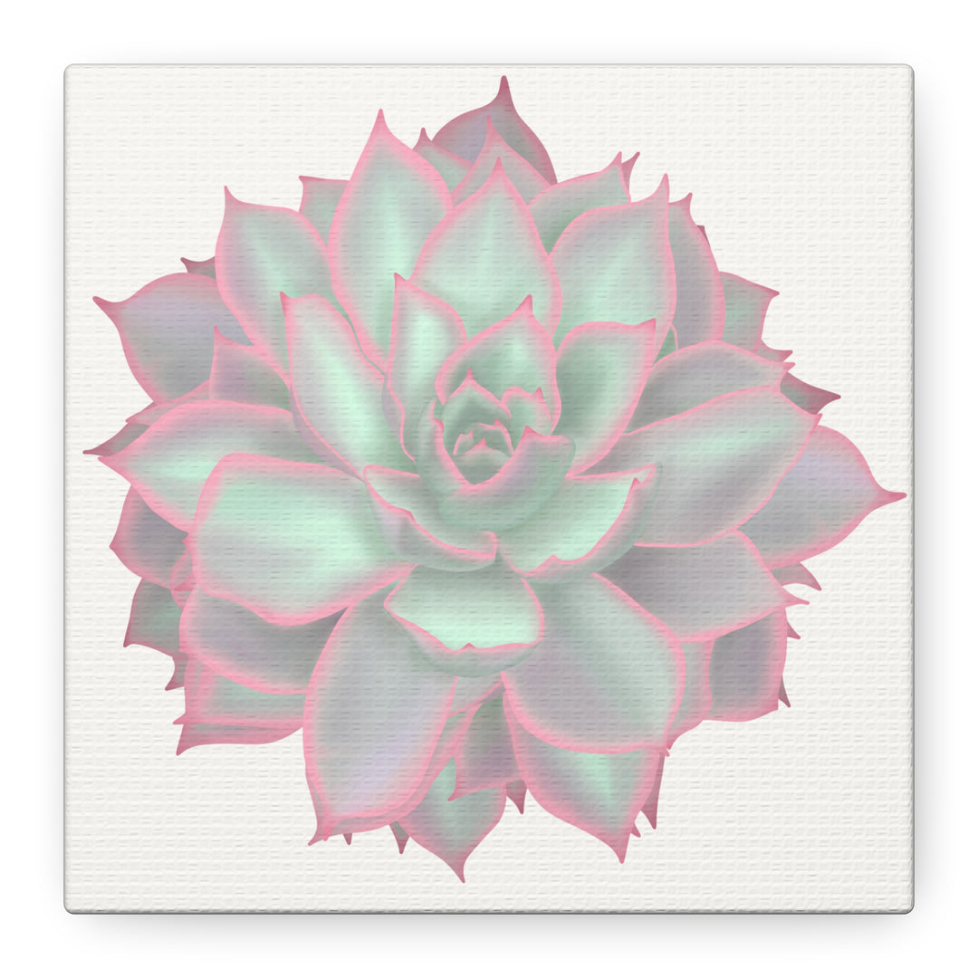 Echeveria Violet Queen Canvas Wall Art Rosette Succulent Print With Matte Finish