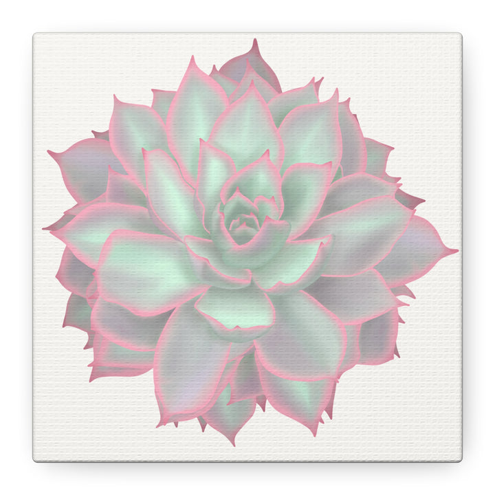 Echeveria Violet Queen Canvas Wall Art Rosette Succulent Print With Matte Finish