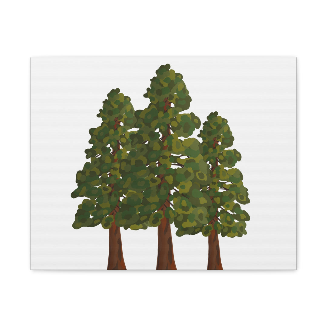 Coastal Redwoods Matte Canvas Print On 1.25 Inch Stretched Canvas For Serene Forest Wall Art In Living Rooms
