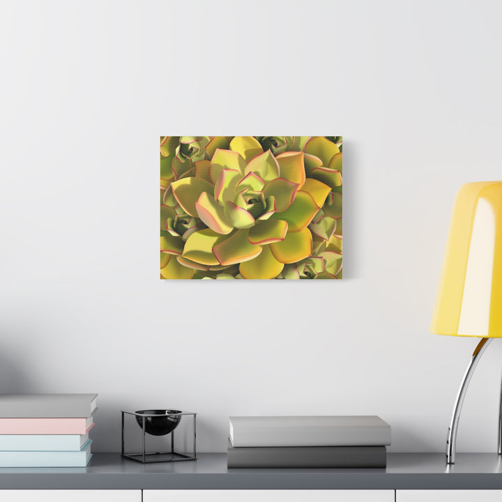 Succulent Canvas Art Vibrant Aeonium Print On Matte Canvas Wall Decor 12x18 Inches Indoor Home
