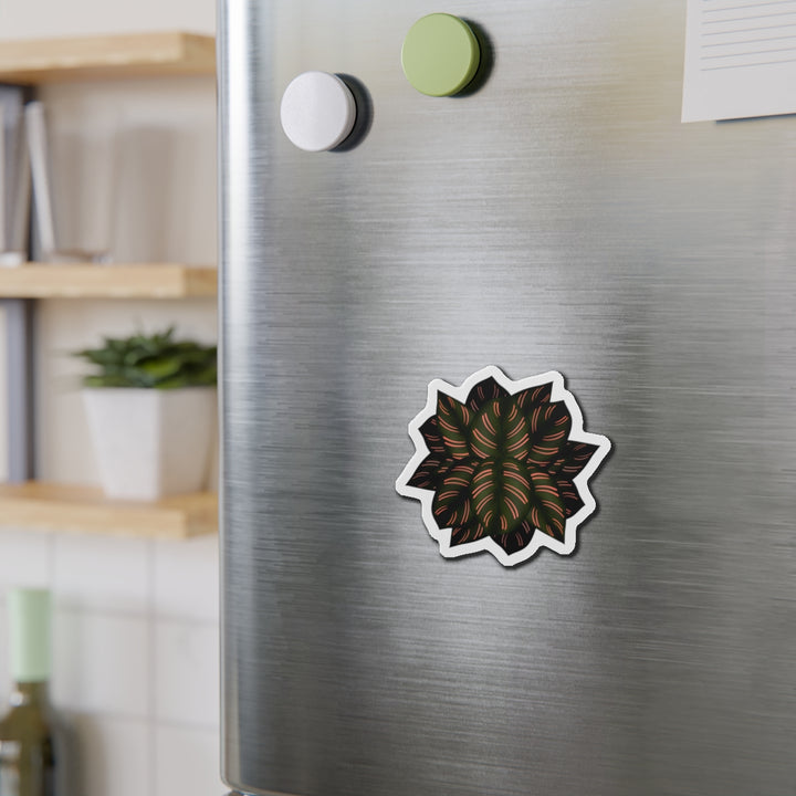 Calathea Pinstripe Magnet