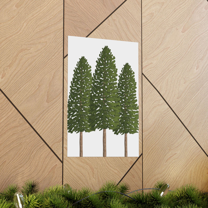Ponderosa Pine Print – Unframed Wall Art
