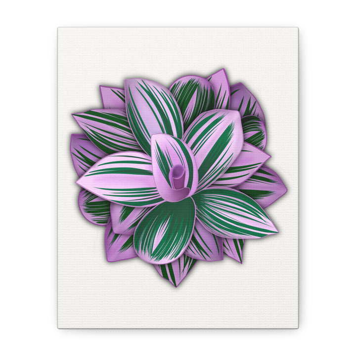 Tradescantia Nanouk Canvas Botanical Wall Art Print Pink Green Foliage On Stretched Cotton Canvas