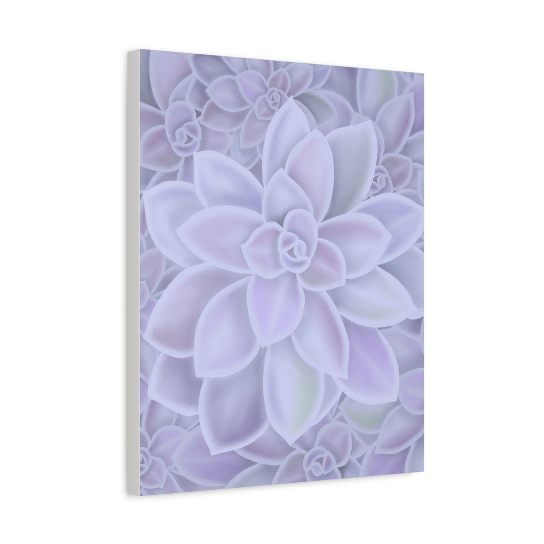 Graptopetalum Murasaki Succulent Canvas Art Print Pastel Purple Rosette Indoor Plant Decor