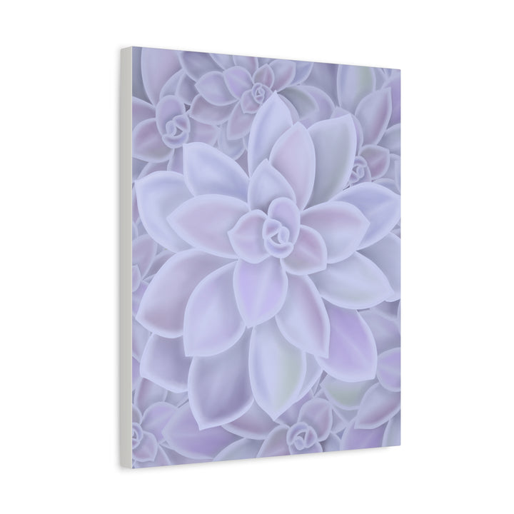 Graptopetalum Murasaki Succulent Canvas Art Print Pastel Purple Rosette Indoor Plant Decor
