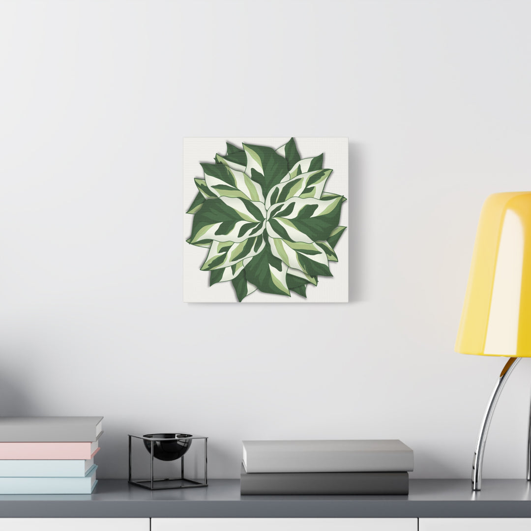 Calathea White Fusion Canvas Botanical Art Print On Stretched Cotton Canvas For Indoor Wall Decor