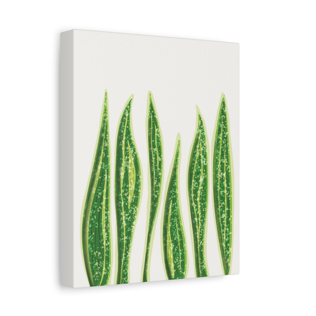 Snake Plant Canvas Print Matte 1.25 Inch Stretch Canvas Wall Art For Living Room Decor