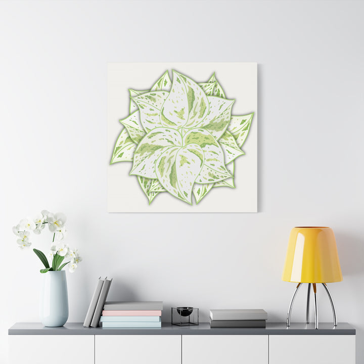 Snow Queen Pothos Canvas Wall Art Variegated Indoor Plant Leaf Poster Print Cotton Canvas