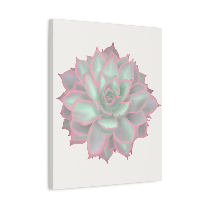 Echeveria Violet Queen Canvas Wall Art Rosette Succulent Print With Matte Finish
