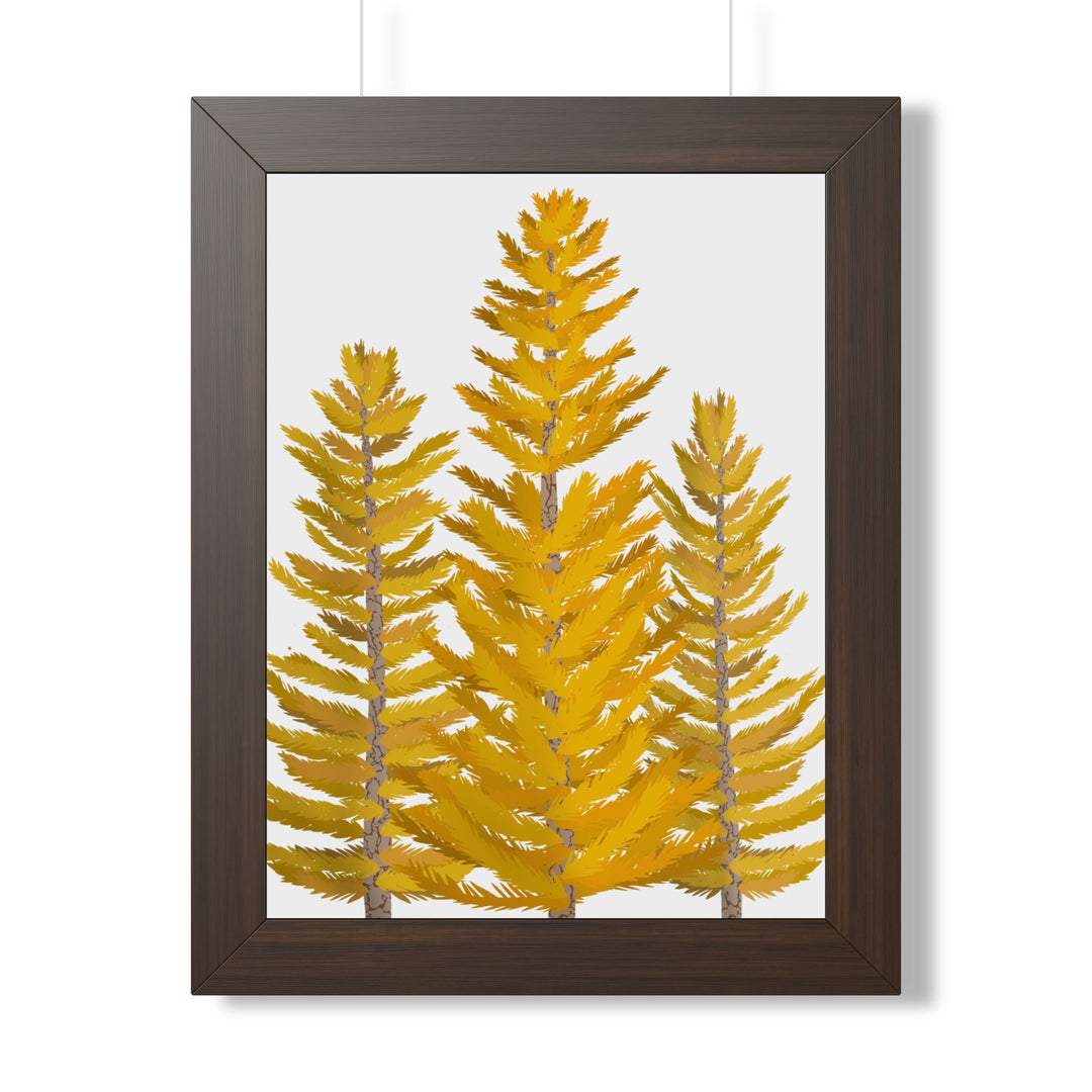 Western Larch Framed Print – Wall Art