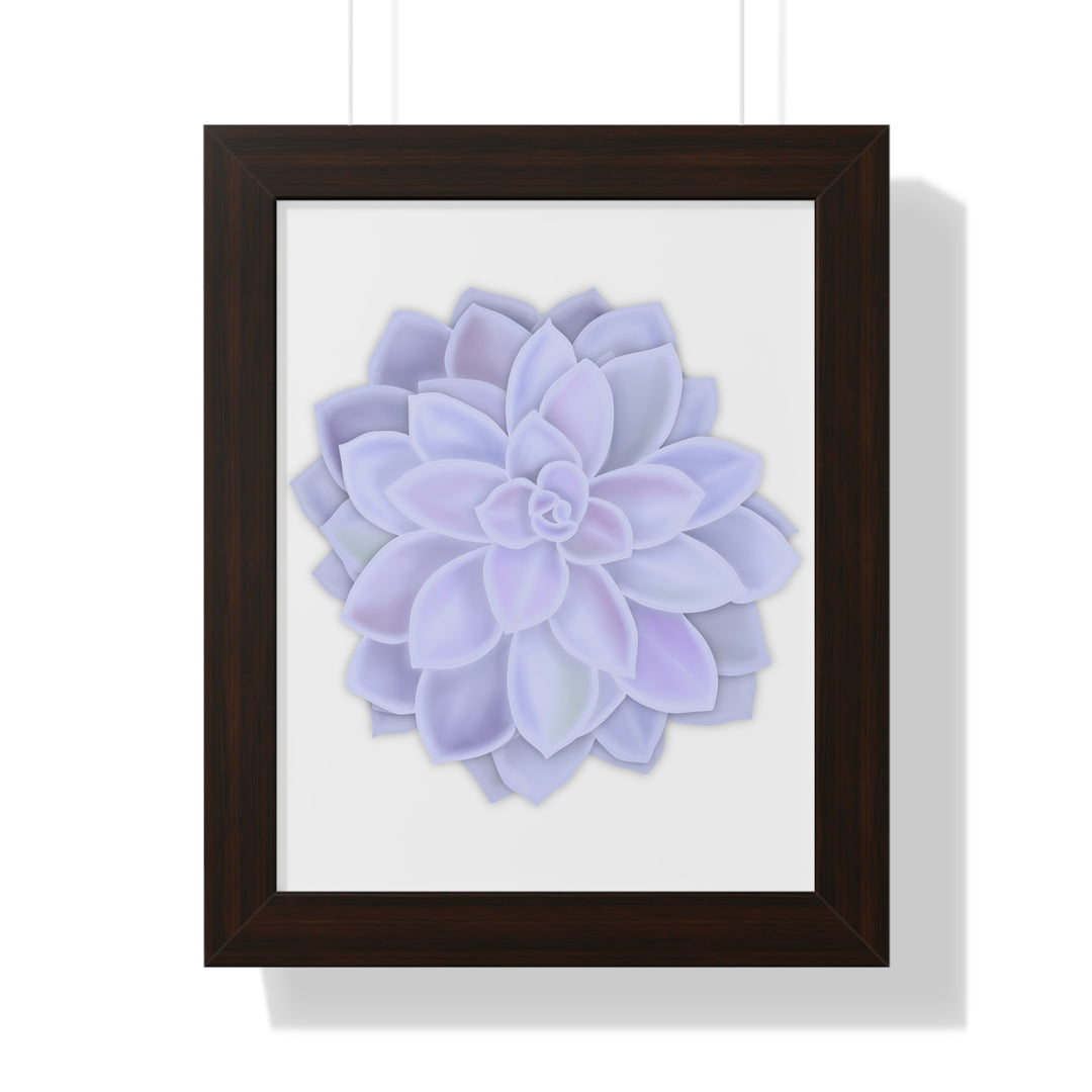 Graptopetalum Murasaki Succulent Framed Print – Botanical Wall Art - The Potted Pixel