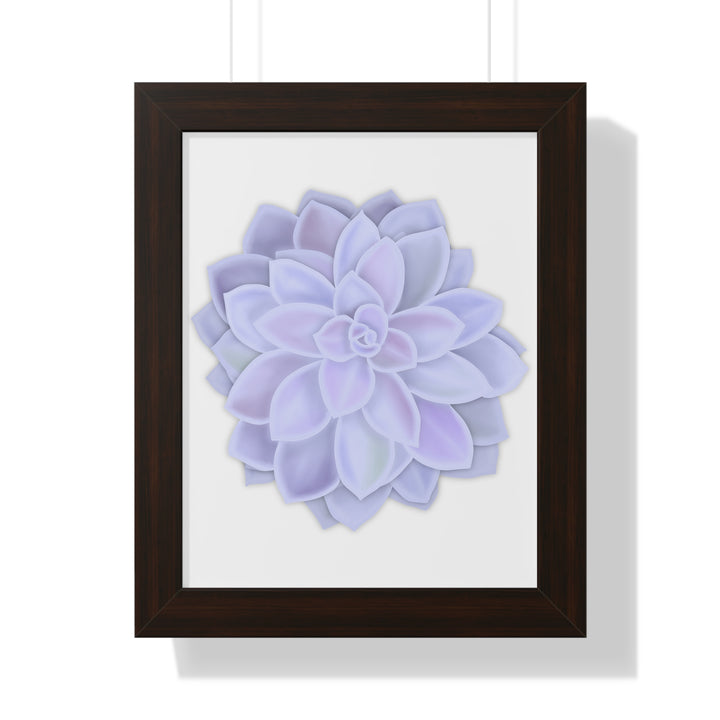 Graptopetalum Murasaki Succulent Framed Print – Botanical Wall Art - The Potted Pixel