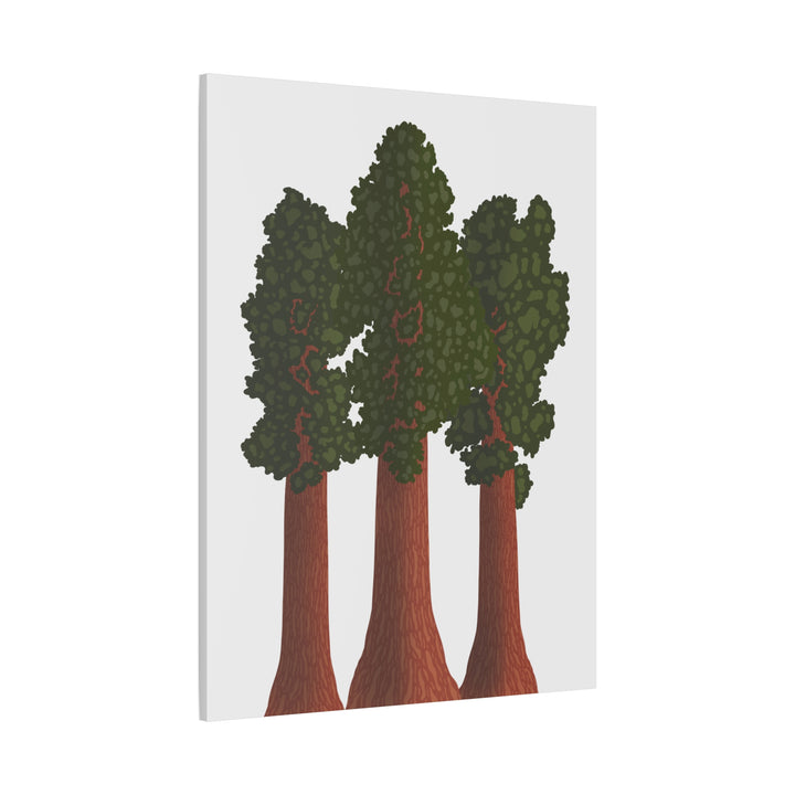 Giant Sequoias Canvas Print – Wall Art