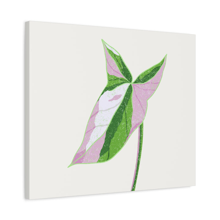 Syngonium Tricolor Canvas Print – Botanical Wall Art - The Potted Pixel