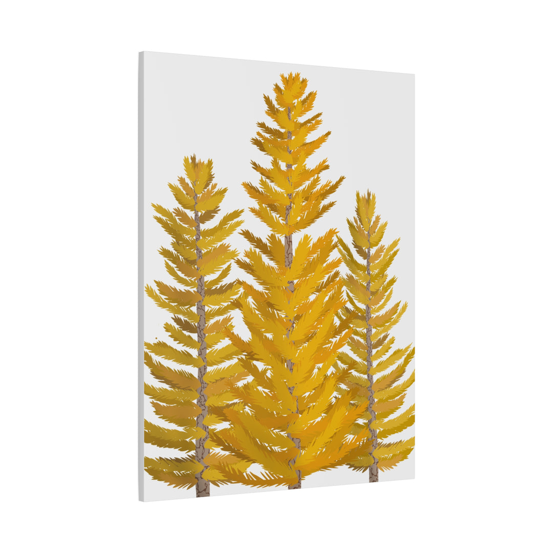 Western Larch Canvas Print – Wall Art