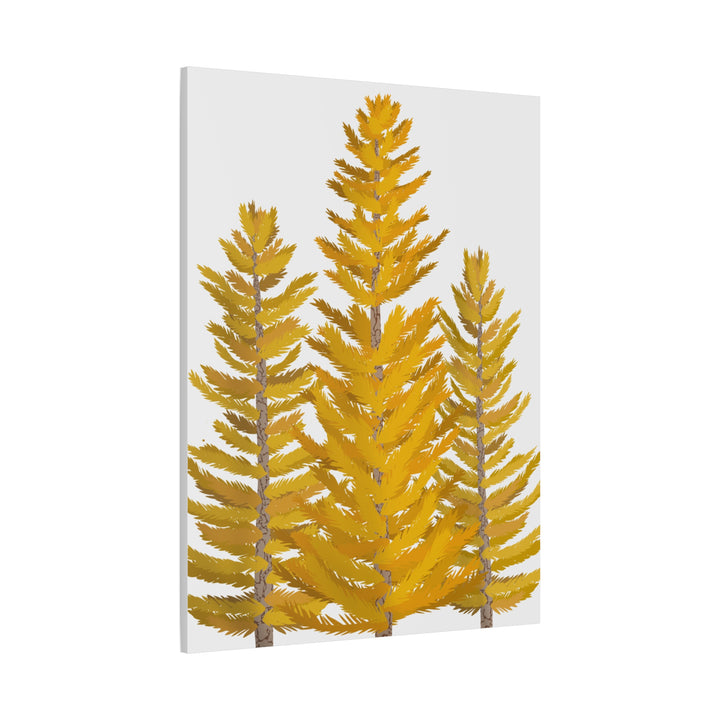 Western Larch Canvas Print – Wall Art