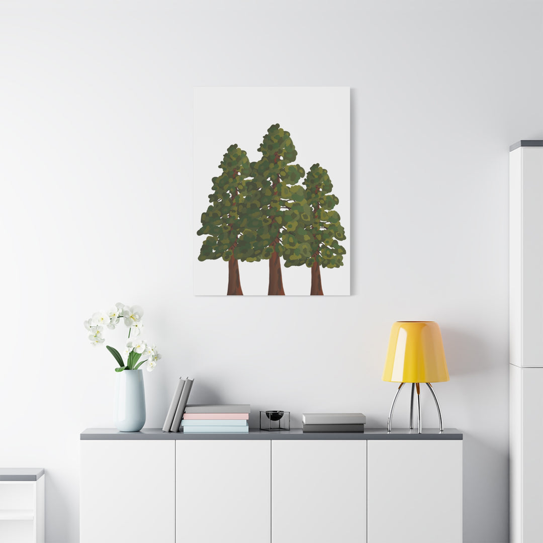 Coastal Redwoods Matte Canvas Print On 1.25 Inch Stretched Canvas For Serene Forest Wall Art In Living Rooms