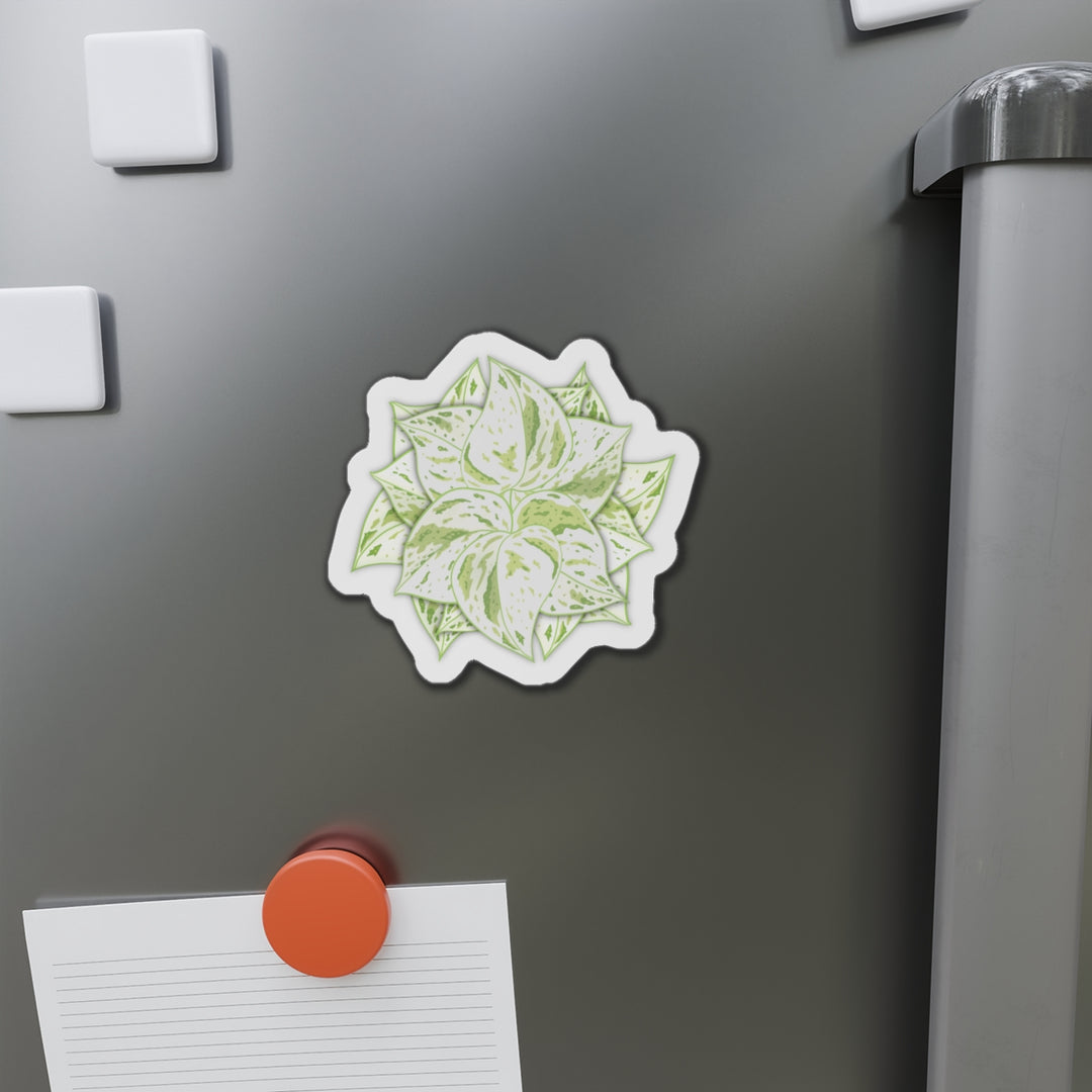 Snow Queen Pothos Magnet