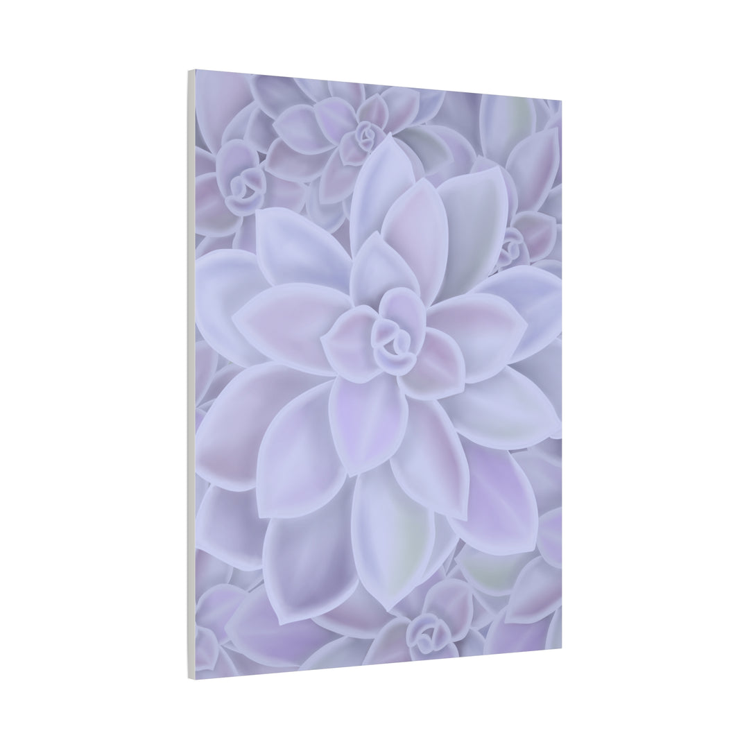Graptopetalum Murasaki Succulent Canvas Art Print Pastel Purple Rosette Indoor Plant Decor