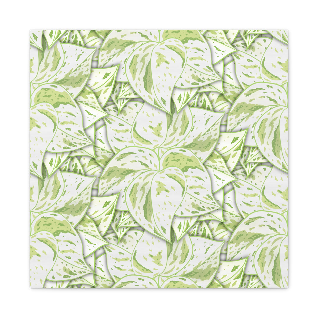 Snow Queen Pothos Canvas Print With Variegated White Leaves In Matte Finish For Modern Home Decor