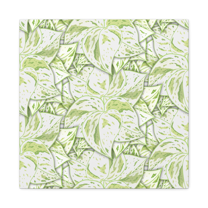 Snow Queen Pothos Canvas Print With Variegated White Leaves In Matte Finish For Modern Home Decor