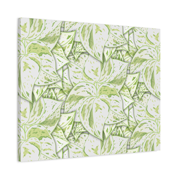 Snow Queen Pothos Canvas Print With Variegated White Leaves In Matte Finish For Modern Home Decor