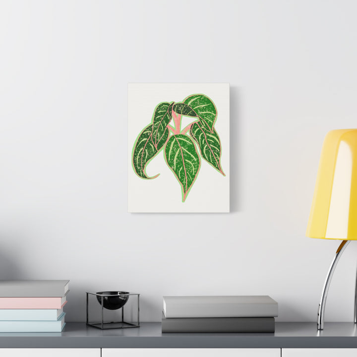 Aglaonema Sparkling Sarah Botanical Canvas Print On Matte Stretch Canvas For Modern Living Room Decor