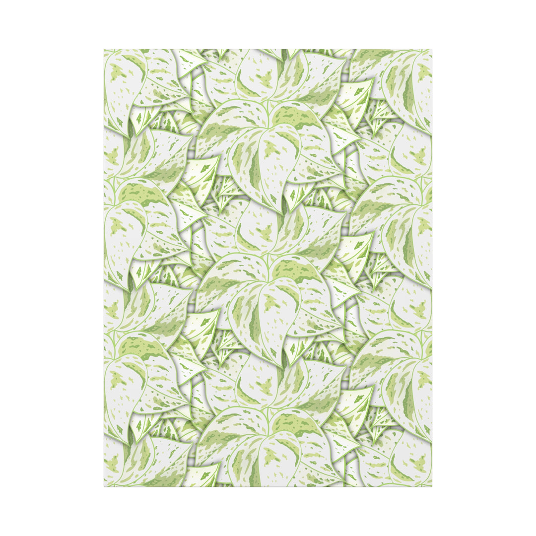 Snow Queen Pothos Canvas Print With Variegated White Leaves In Matte Finish For Modern Home Decor