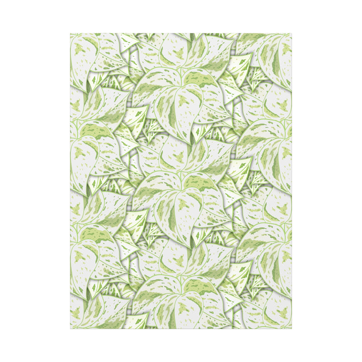 Snow Queen Pothos Canvas Print With Variegated White Leaves In Matte Finish For Modern Home Decor