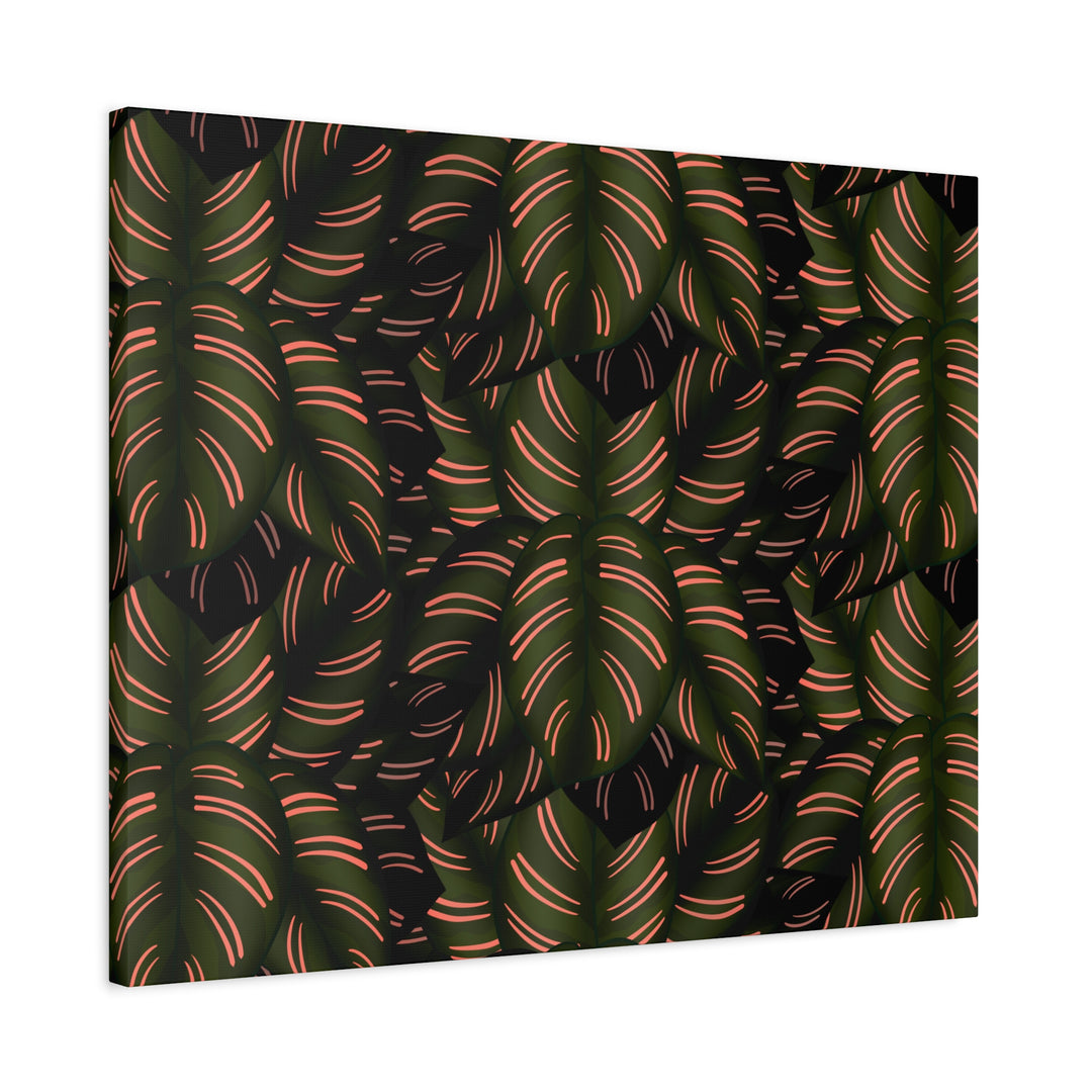 Calathea Pinstripe Canvas Print With Matte Finish Stretched Botanical Wall Art For Living Room Decor