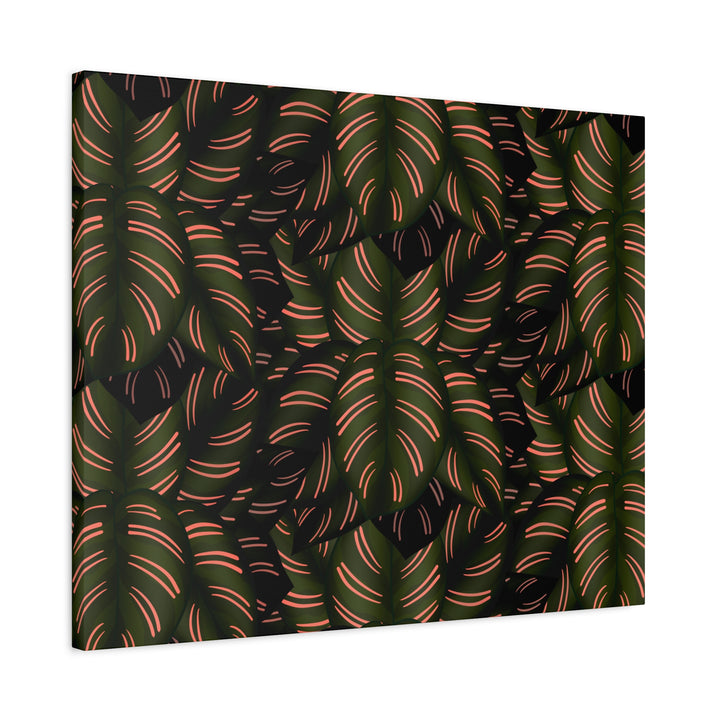 Calathea Pinstripe Canvas Print With Matte Finish Stretched Botanical Wall Art For Living Room Decor