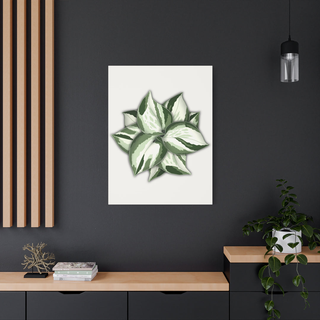 Manjula Pothos Canvas Print Stretched Matte Canvas Wall Art For Living Room And Office