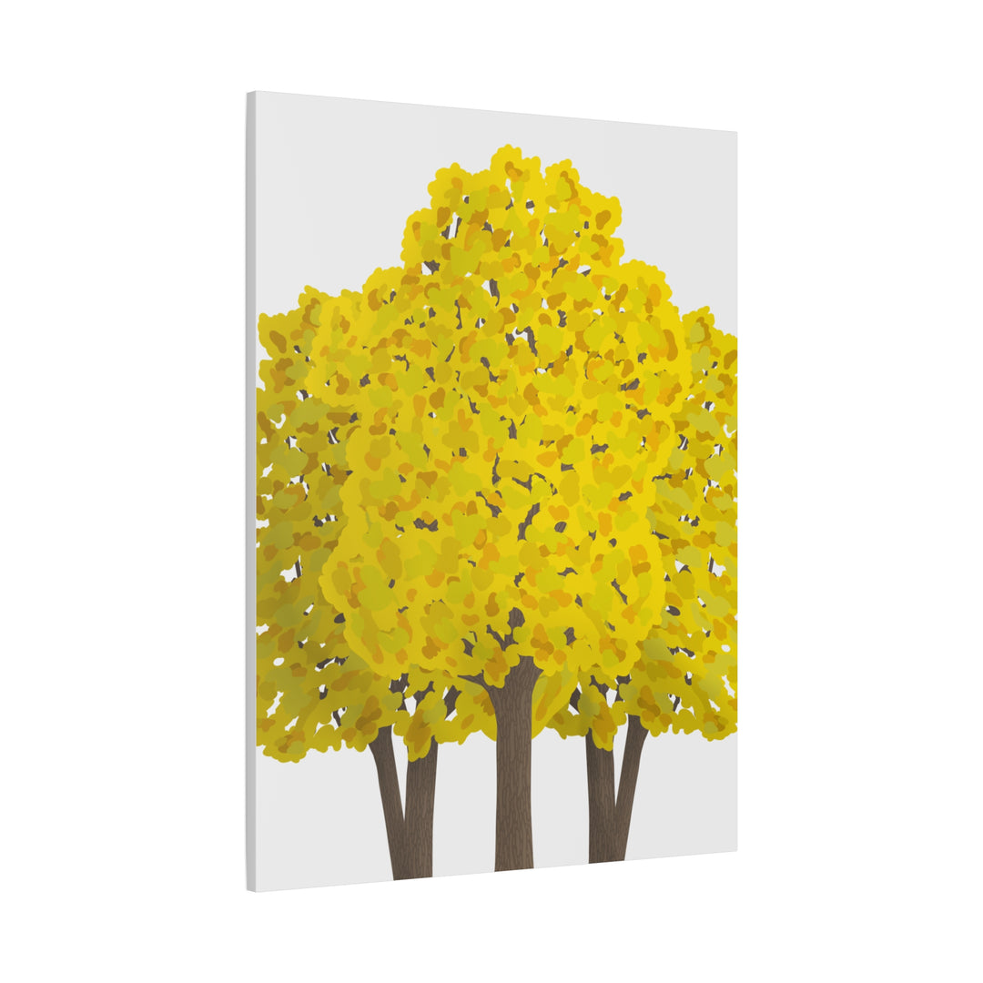 Big Leaf Maple Canvas Print – Wall Art