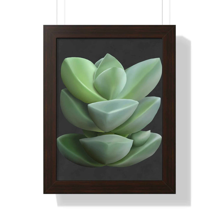 Crassula Succulent Framed Poster Vertical Botanical Wall Art