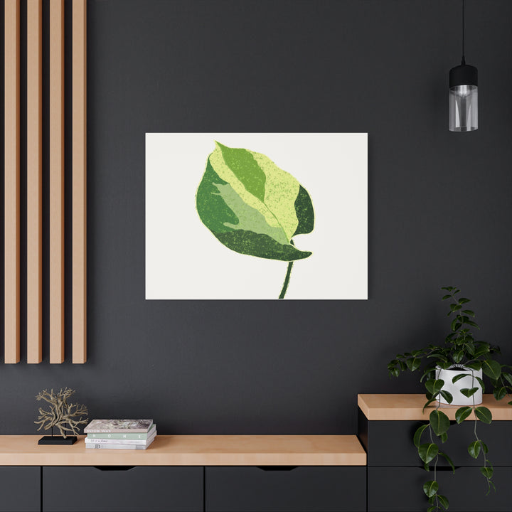 Manjula Pothos Botanical Canvas Print Matte Finish Stretched Canvas Wall Art 1.25 Inch Depth