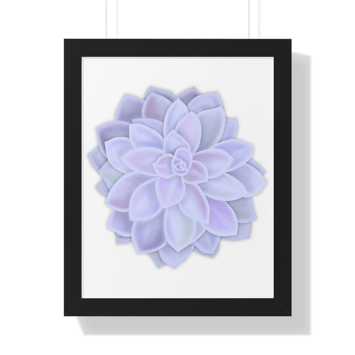 Graptopetalum Murasaki Succulent Framed Print – Botanical Wall Art - The Potted Pixel