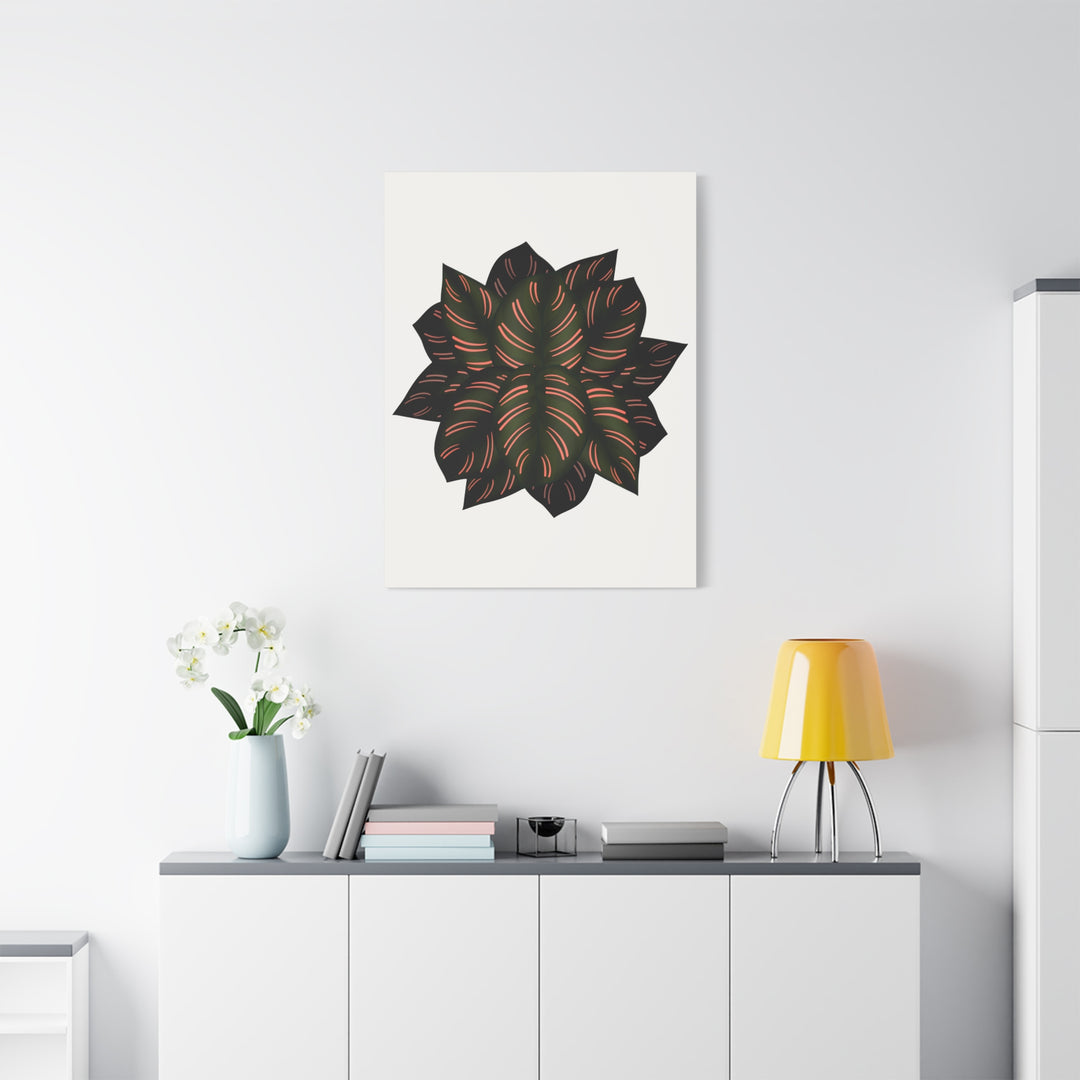 Calathea Pinstripe Canvas Botanical Wall Art Print On Stretched Cotton Canvas For Living Room Decor