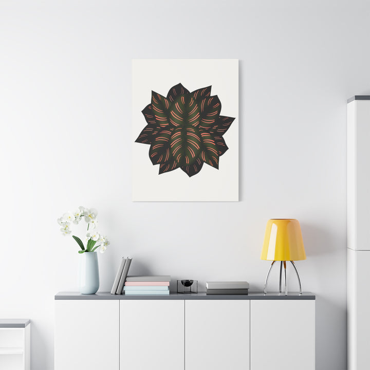 Calathea Pinstripe Canvas Botanical Wall Art Print On Stretched Cotton Canvas For Living Room Decor