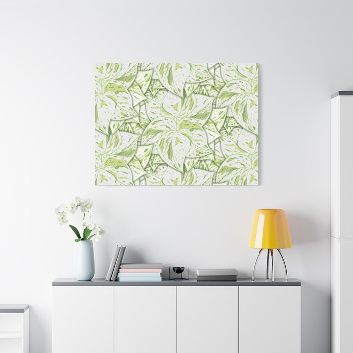 Snow Queen Pothos Canvas Print With Variegated White Leaves In Matte Finish For Modern Home Decor