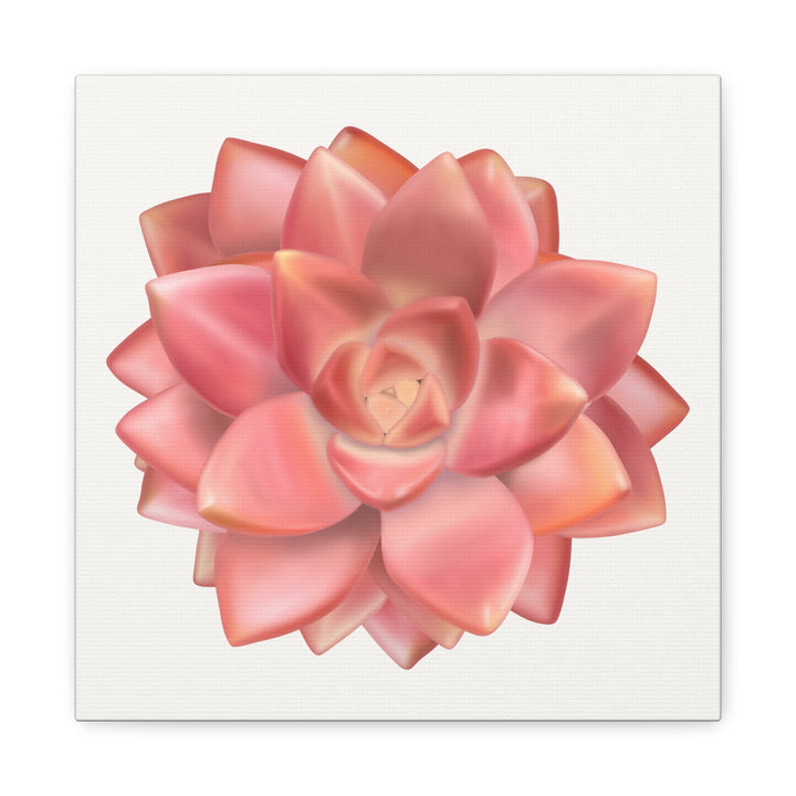 Succulent Canvas Art California Sunset Rosette Botanical Wall Art Print The Potted Pixel