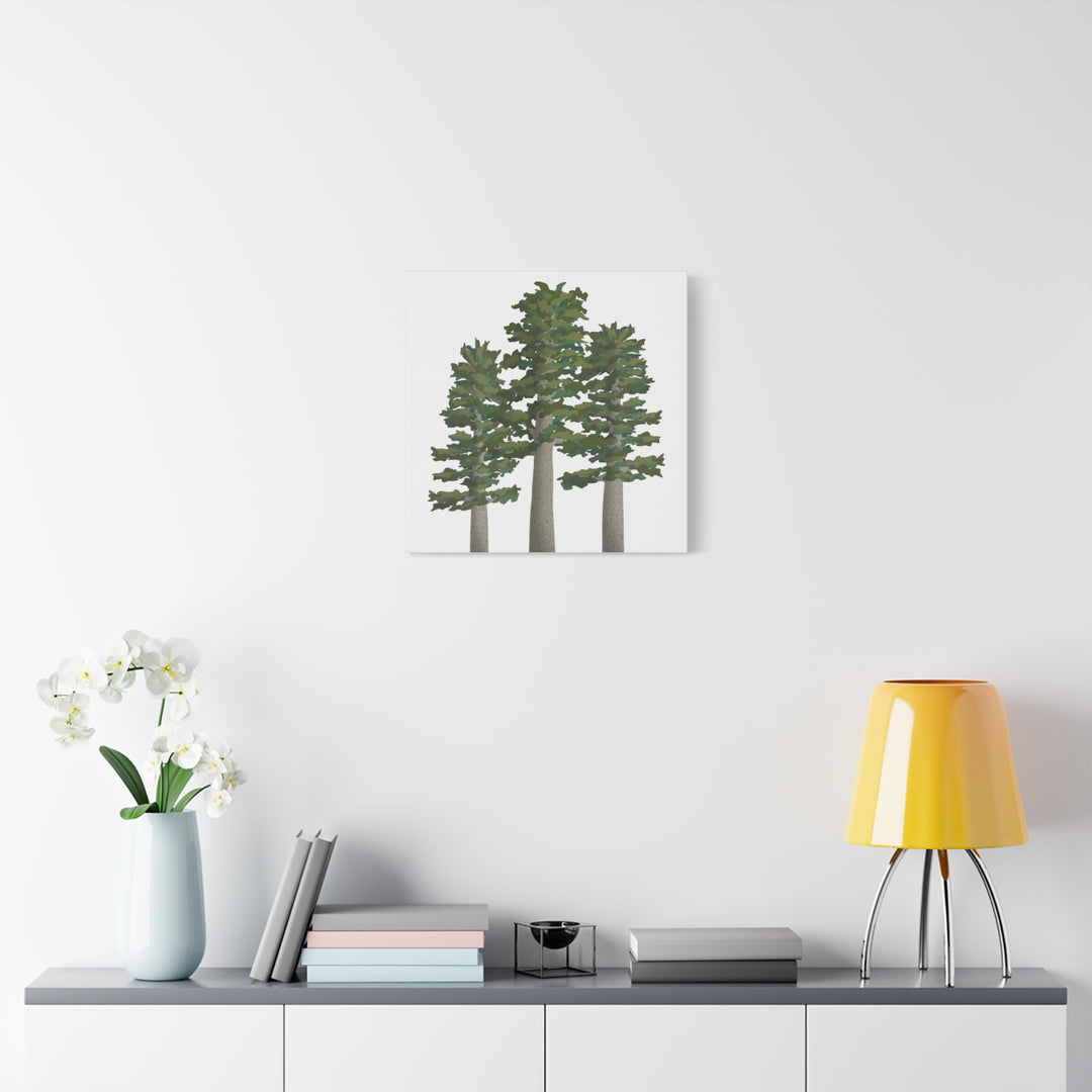 Sitka Spruce Canvas Print – Wall Art
