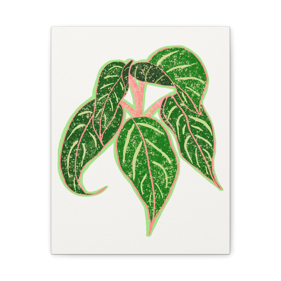 Aglaonema Sparkling Sarah Botanical Canvas Print On Matte Stretch Canvas For Modern Living Room Decor