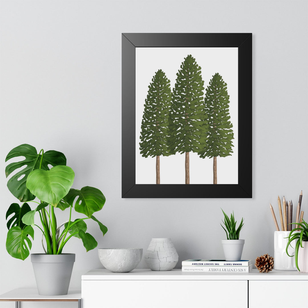 Ponderosa Pine Framed Print – Wall Art