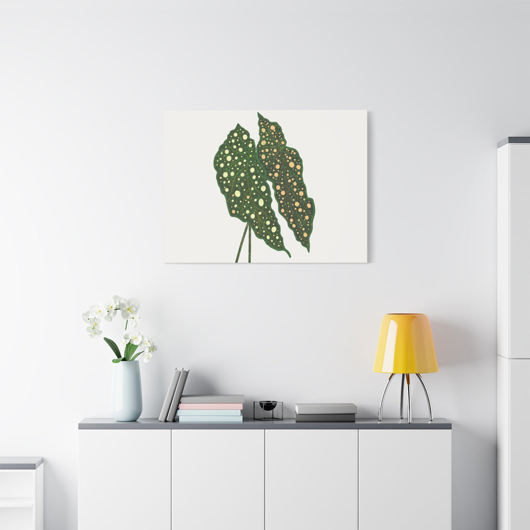 Begonia Maculata Canvas Premium Botanical Wall Art Print On Cotton Canvas With Matte Finish For Indoor Decor