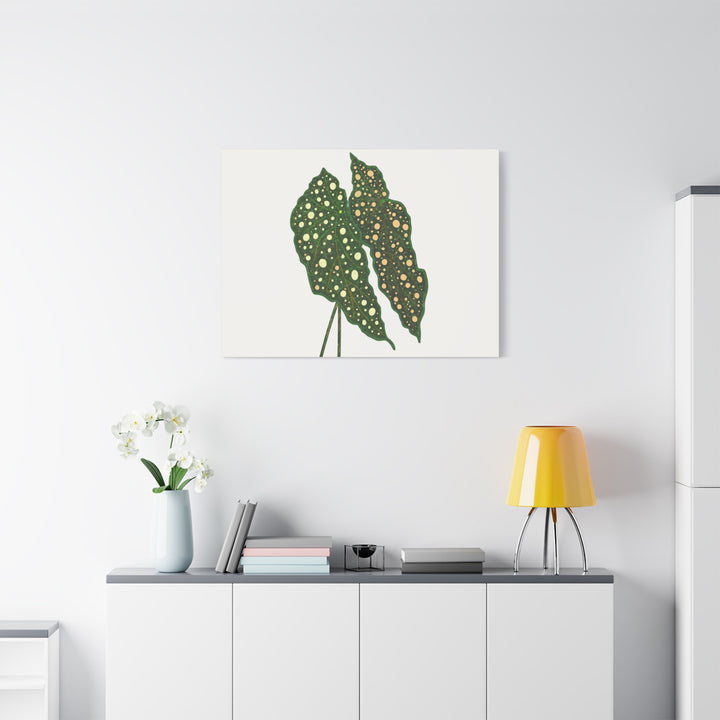 Begonia Maculata Canvas Premium Botanical Wall Art Print On Cotton Canvas With Matte Finish For Indoor Decor