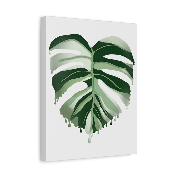 Melting Monstera Albo Canvas Large Indoor Wall Art Print Matte Finish Tropical Home Decor